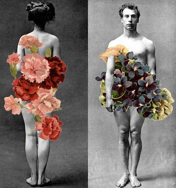 Collage, author unknown