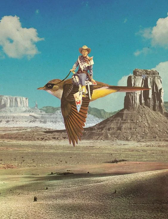 Bird - Sammy Slabbinck