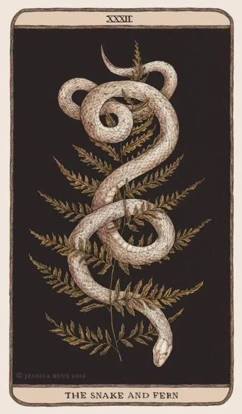  The Snake and Fern - Jessica Roux