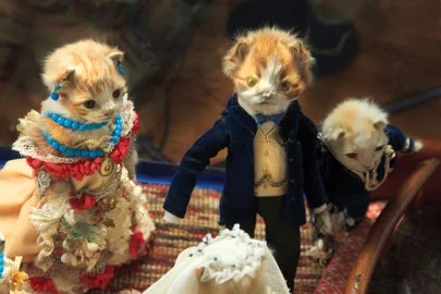 kittenweddings5.jpg