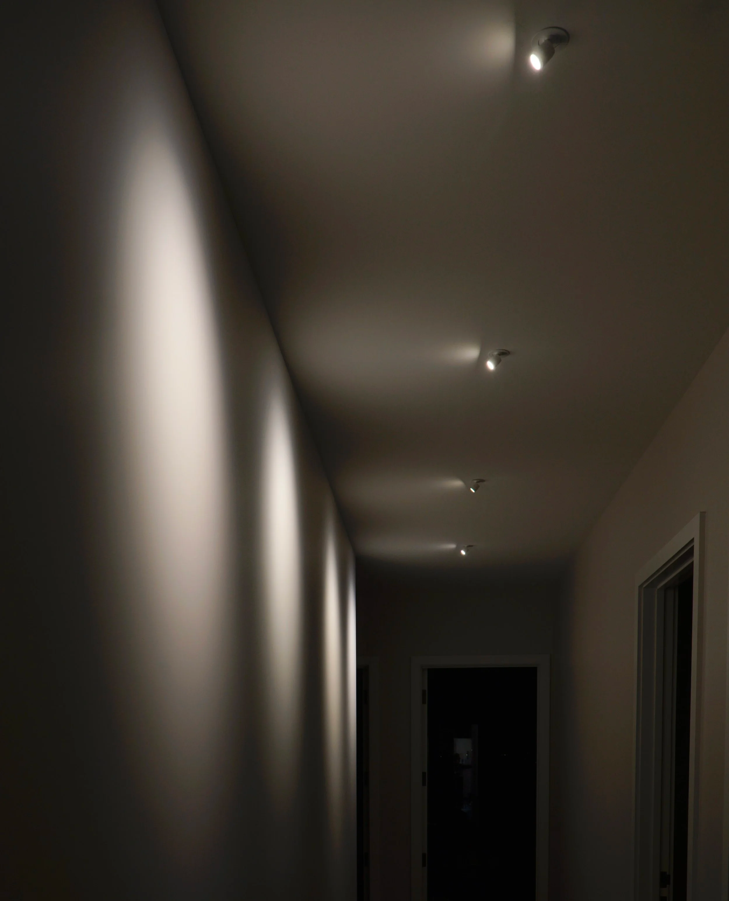 _DSC8112.png
