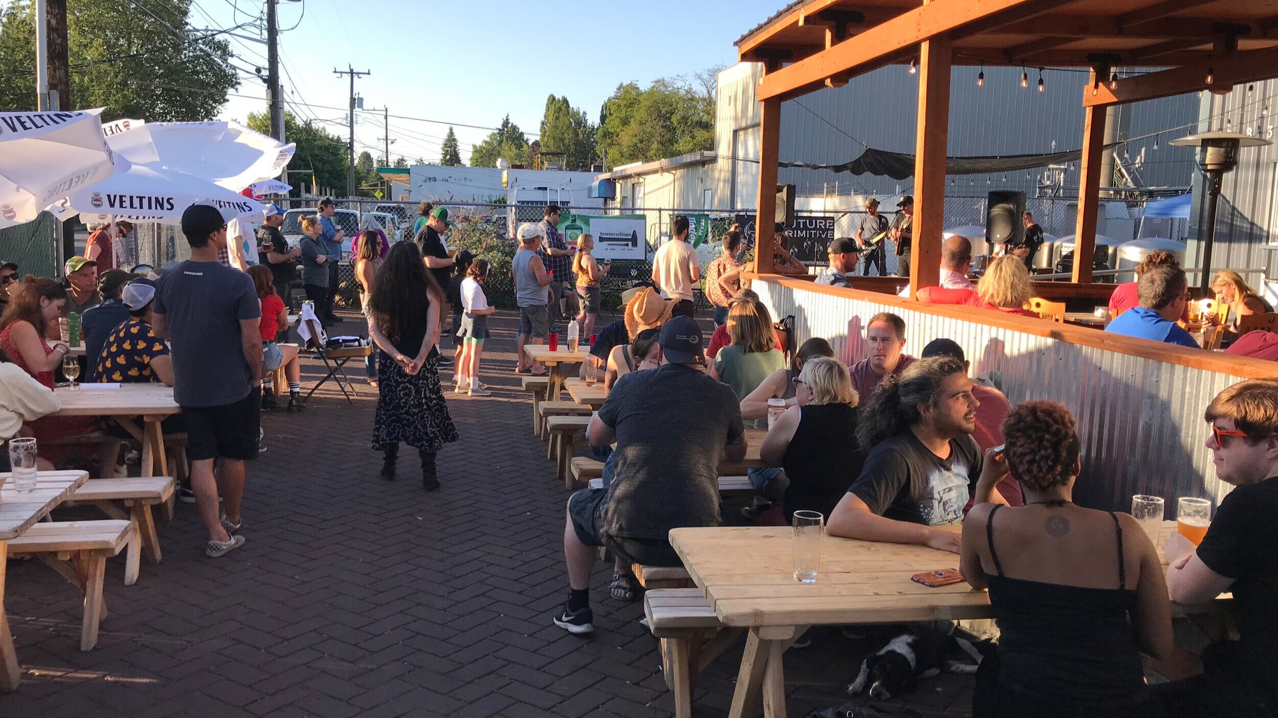 IMG_9550.jpg