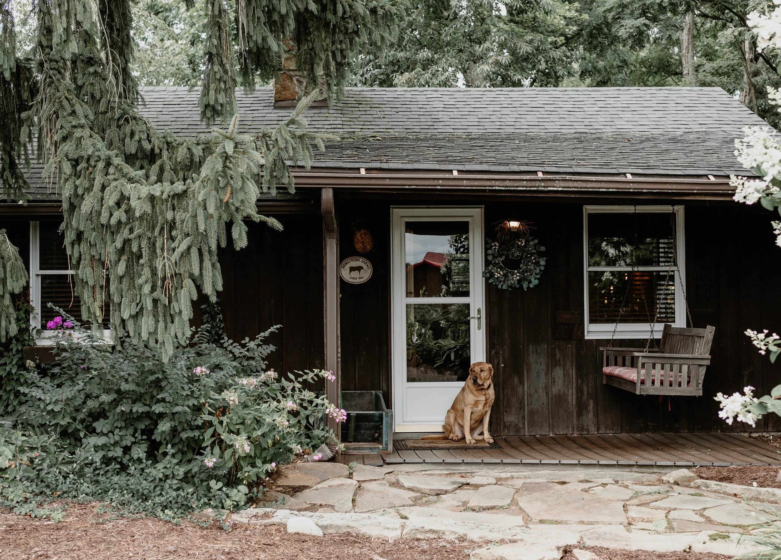 Dog Friendly Wedding Venue - Armstrong Farms Fieldstone