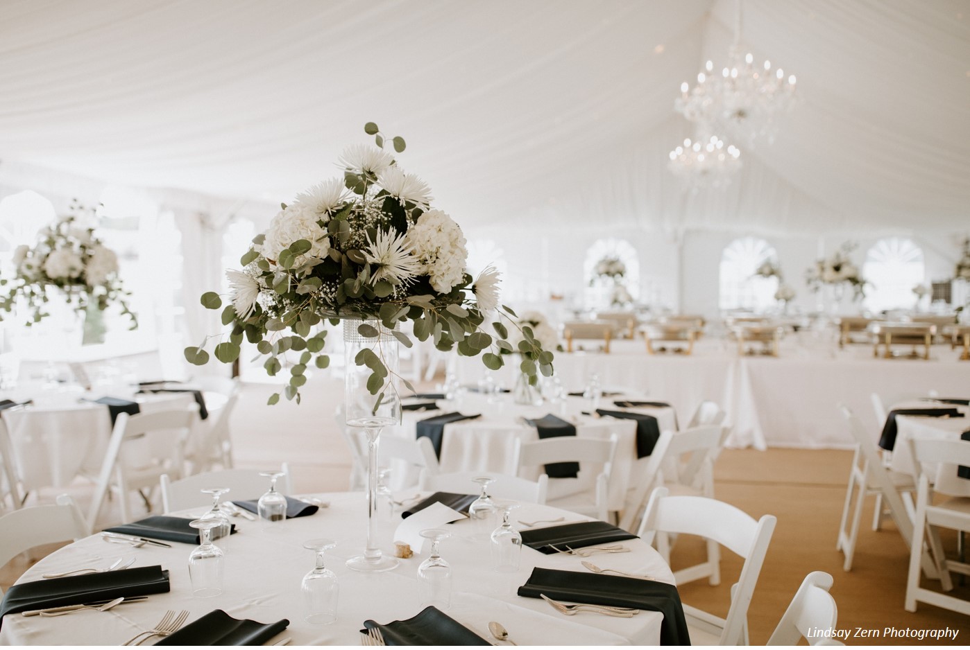 Armstrong Farms Westminster Preserve Tent by Lindsay Zern Photography.jpg