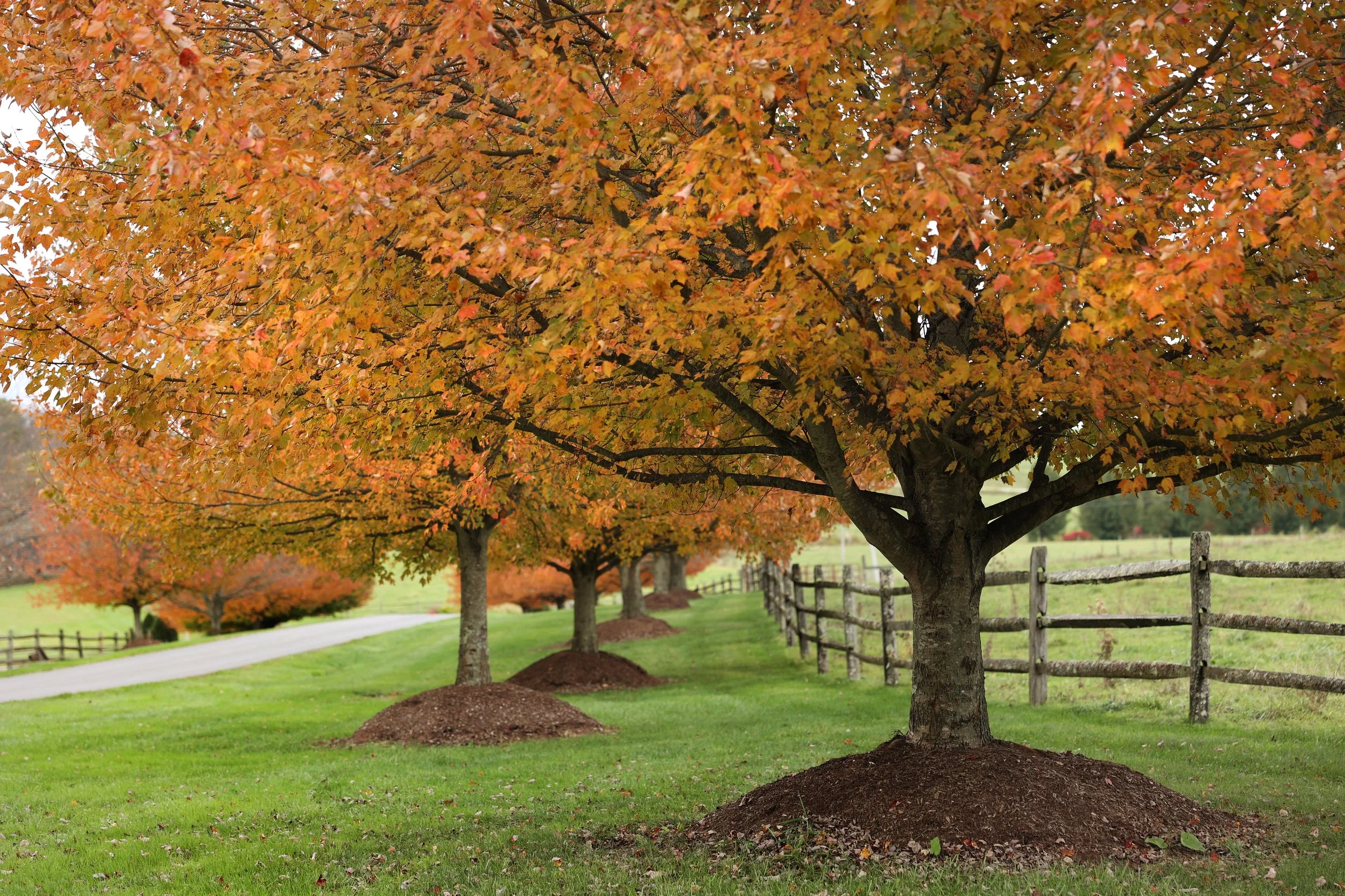 Why a Barn Wedding Venue is Beautiful in Every Season 