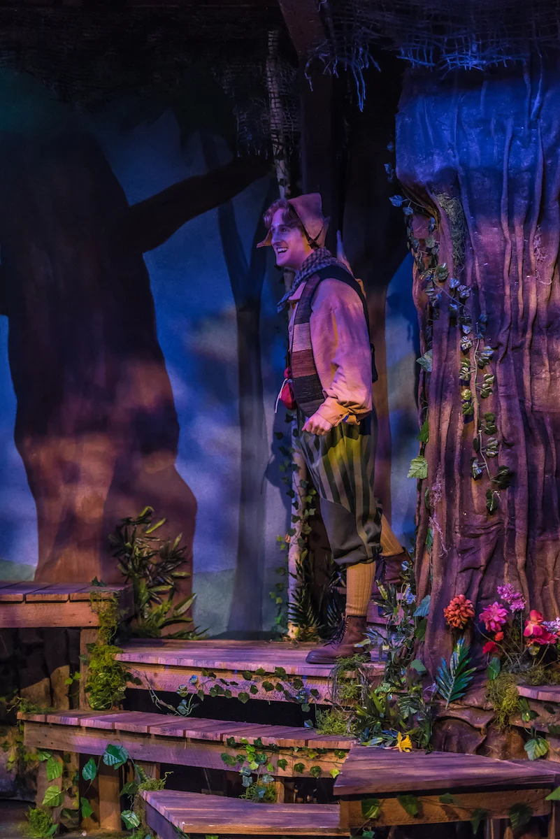 Into The Woods, The Mac-Haydn Theatre