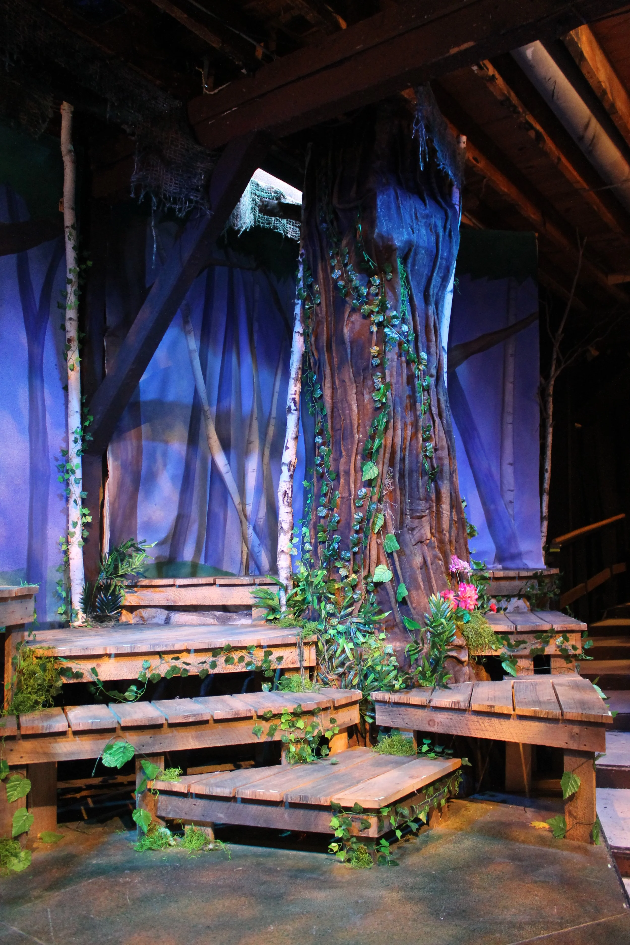 Into The Woods, The Mac-Haydn Theatre, 2016 (Copy)