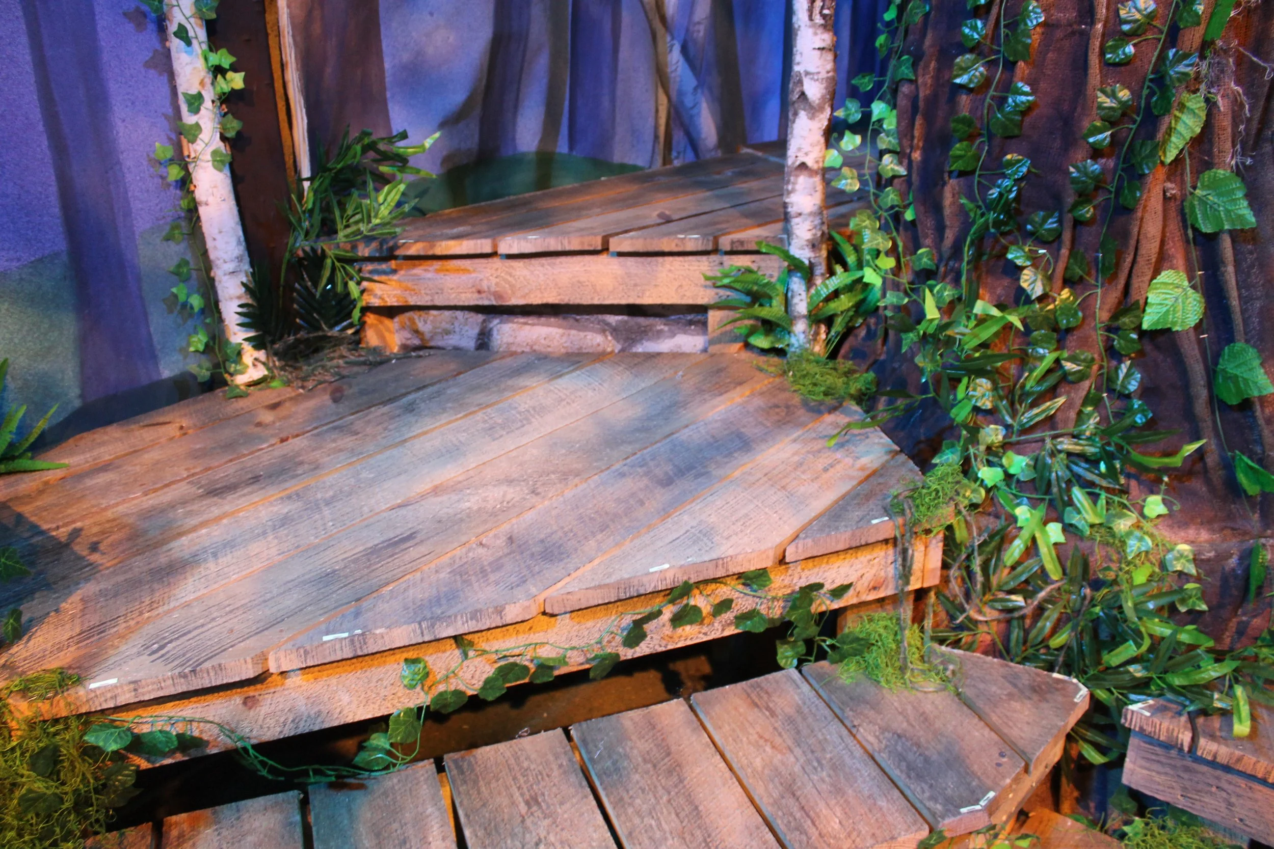 Into The Woods, The Mac-Haydn Theatre, 2016 (Copy)