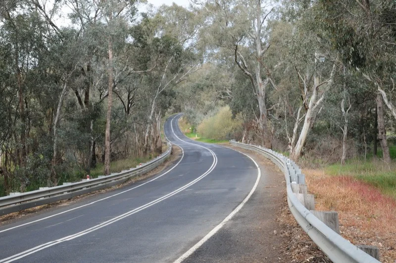 DSC_8873.JPG