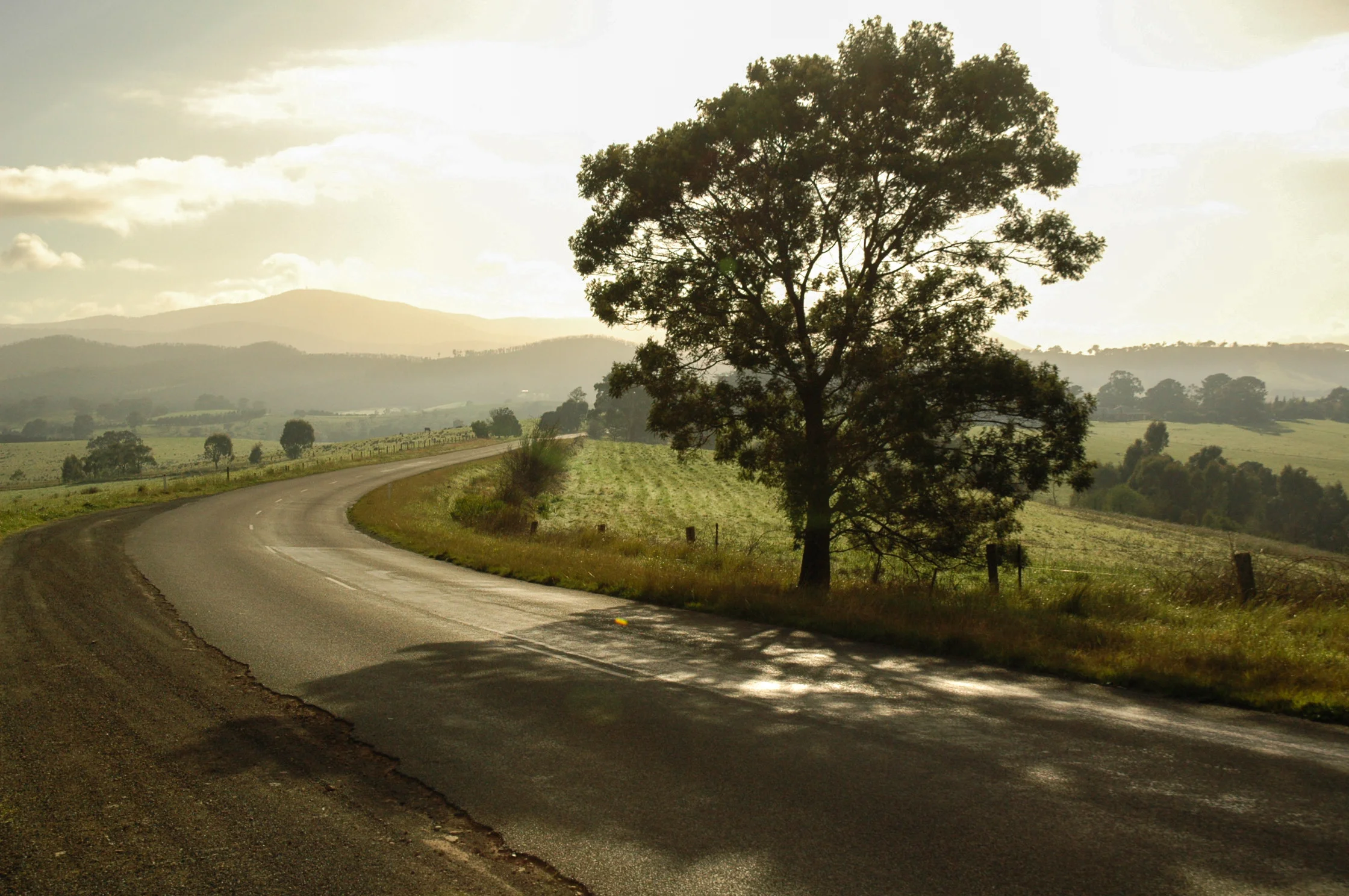 Old Healesvile rd.jpg