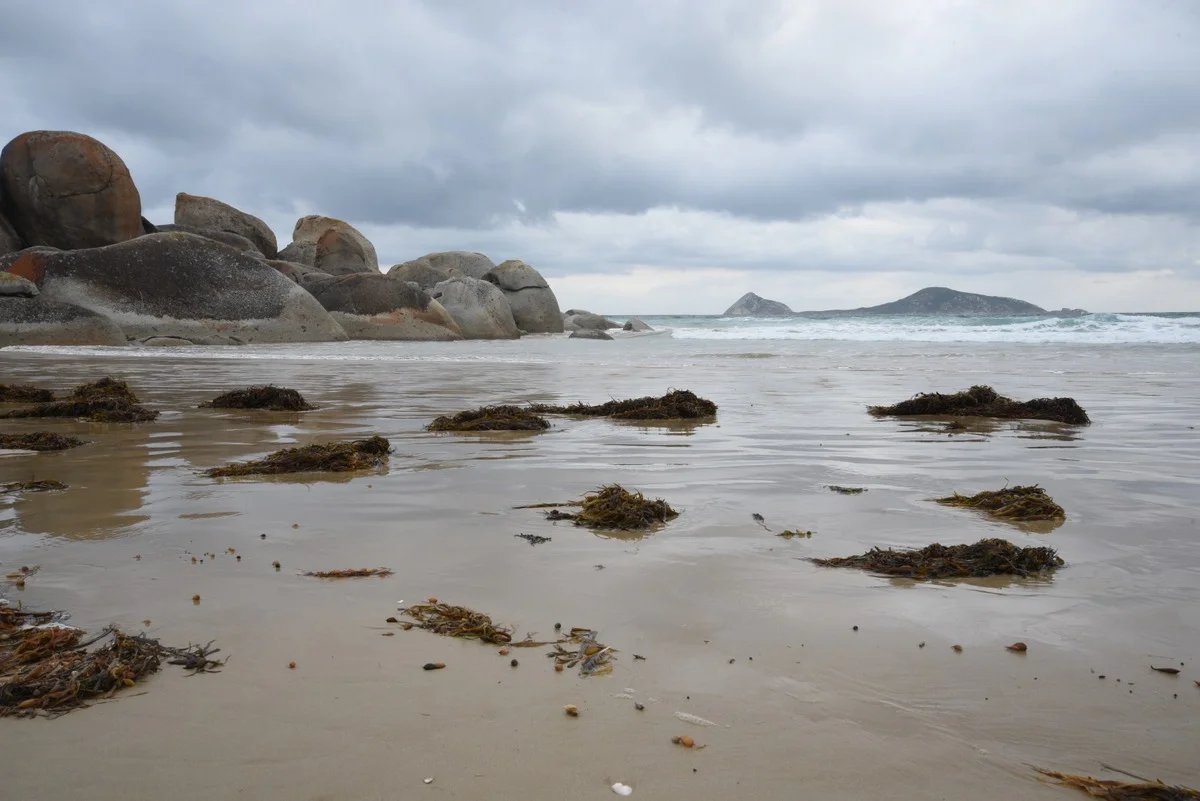 DSC_0918.jpg