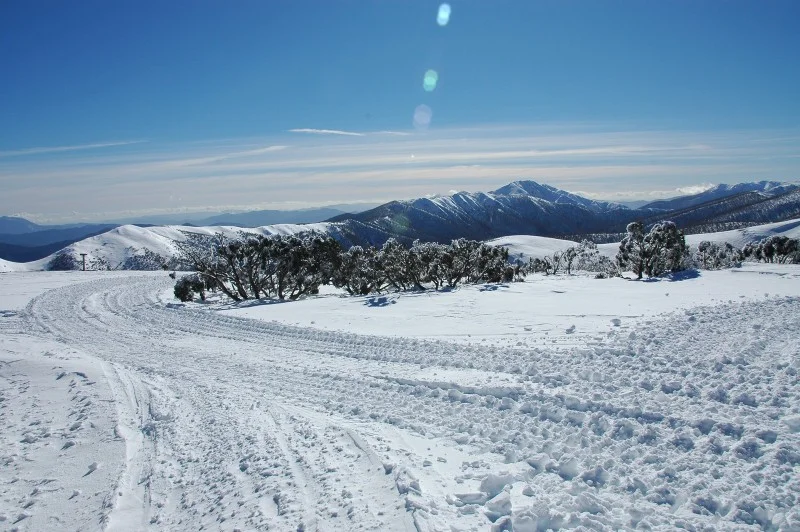 DSC_8742.jpg