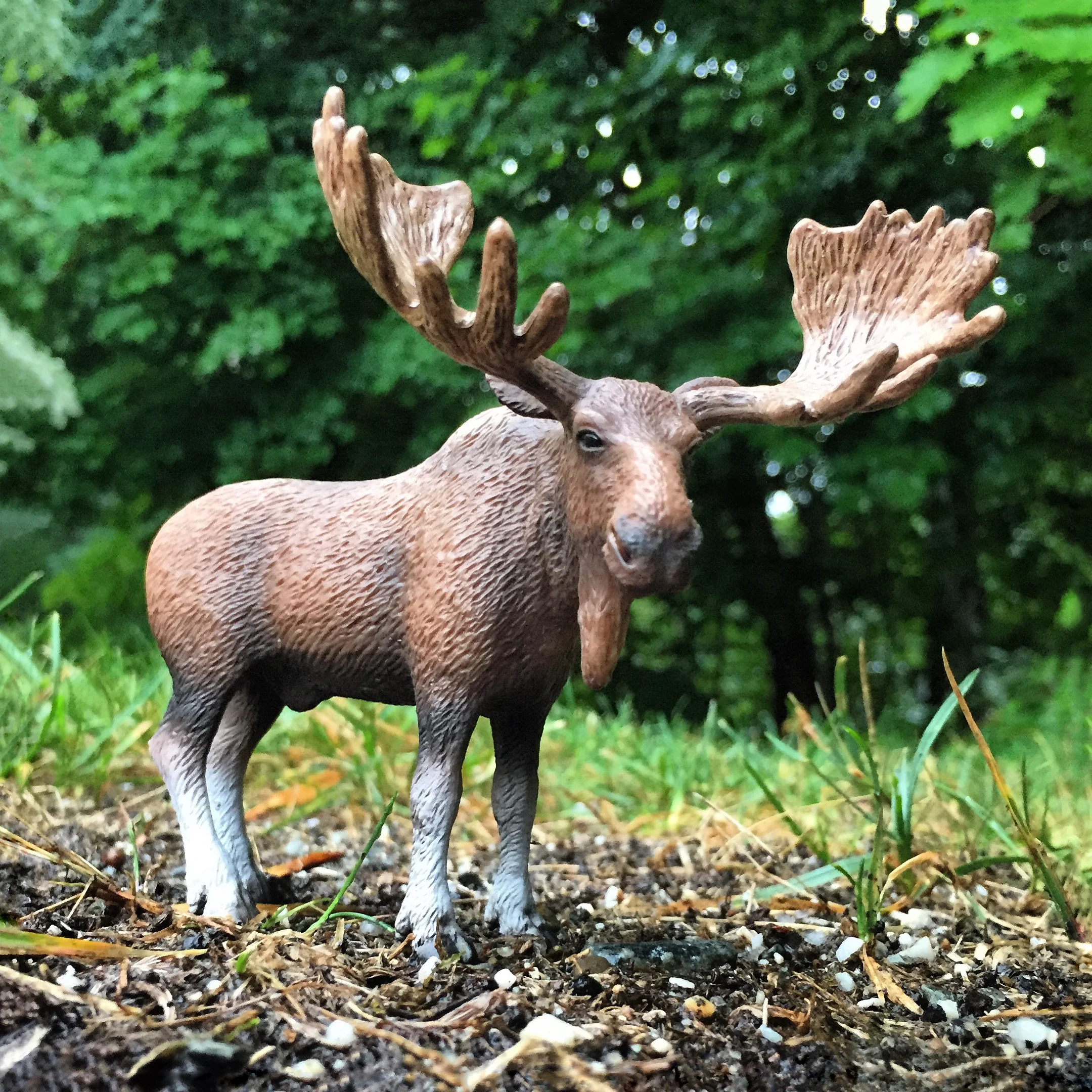 "Every creature is better alive than dead, men and moose and pine trees, and he who understands it aright will rather preserve its life than destroy it." — Henry David Thoreau