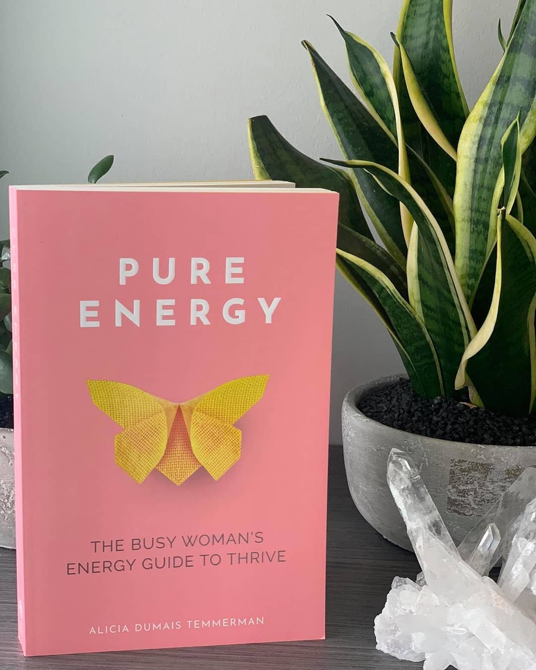 Our wonderful Marriage Coach Alicia is the author of this amazing book Pure Energy - The busy women's energy guide to thrive! ​@aliciatemmerman
​
​Where she gives insight to the mind-body-soul connection, explains the law of energy and gives daily en