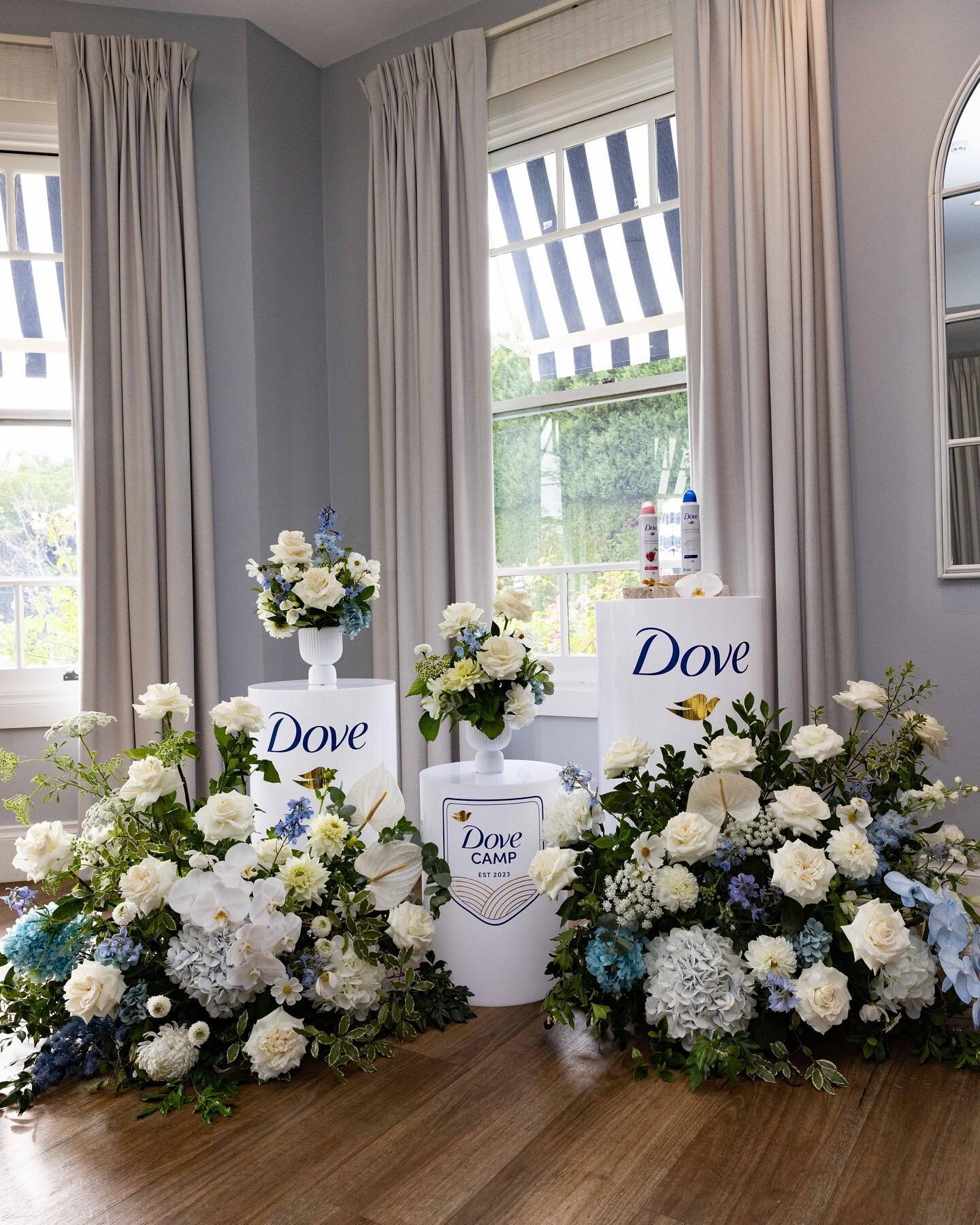 Swooning over this brand activation that we styled for @dove earlier this week. 

#dovecamp

Photo: @scottehler 
Flowers: @theposygarden 
Venue: @bells_at_killcare