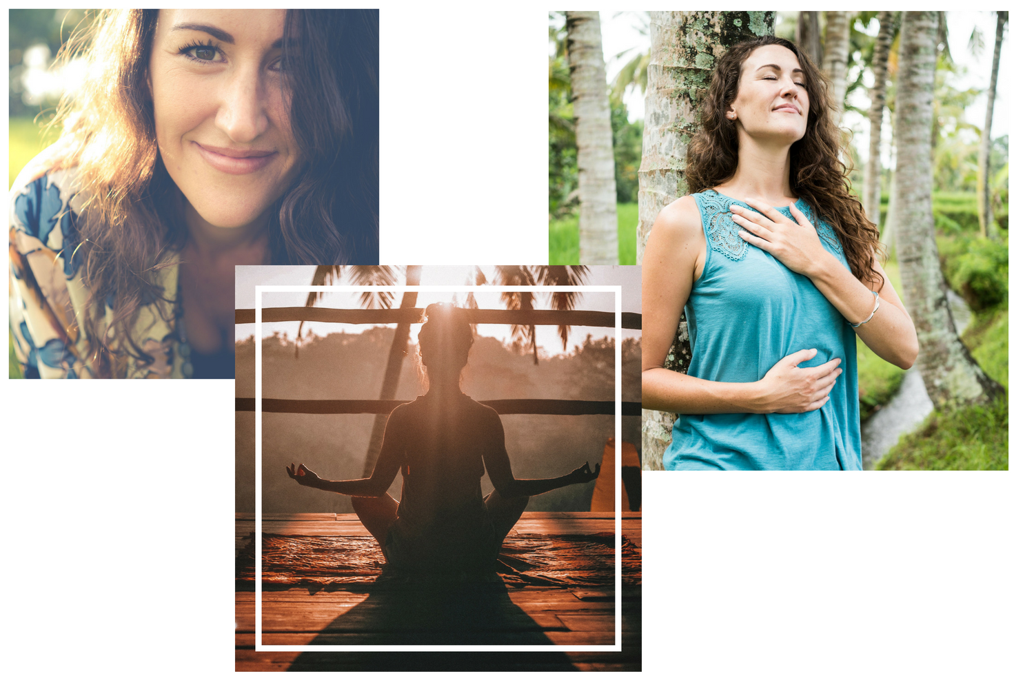 stephs banner working (5).png