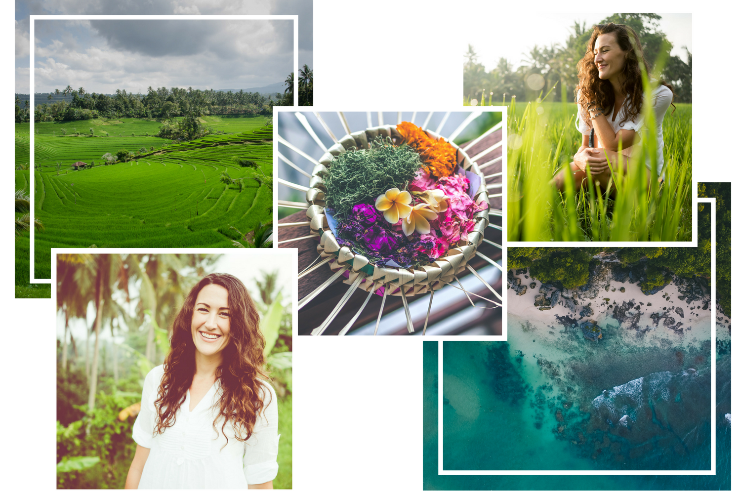 stephs banner working (12).png