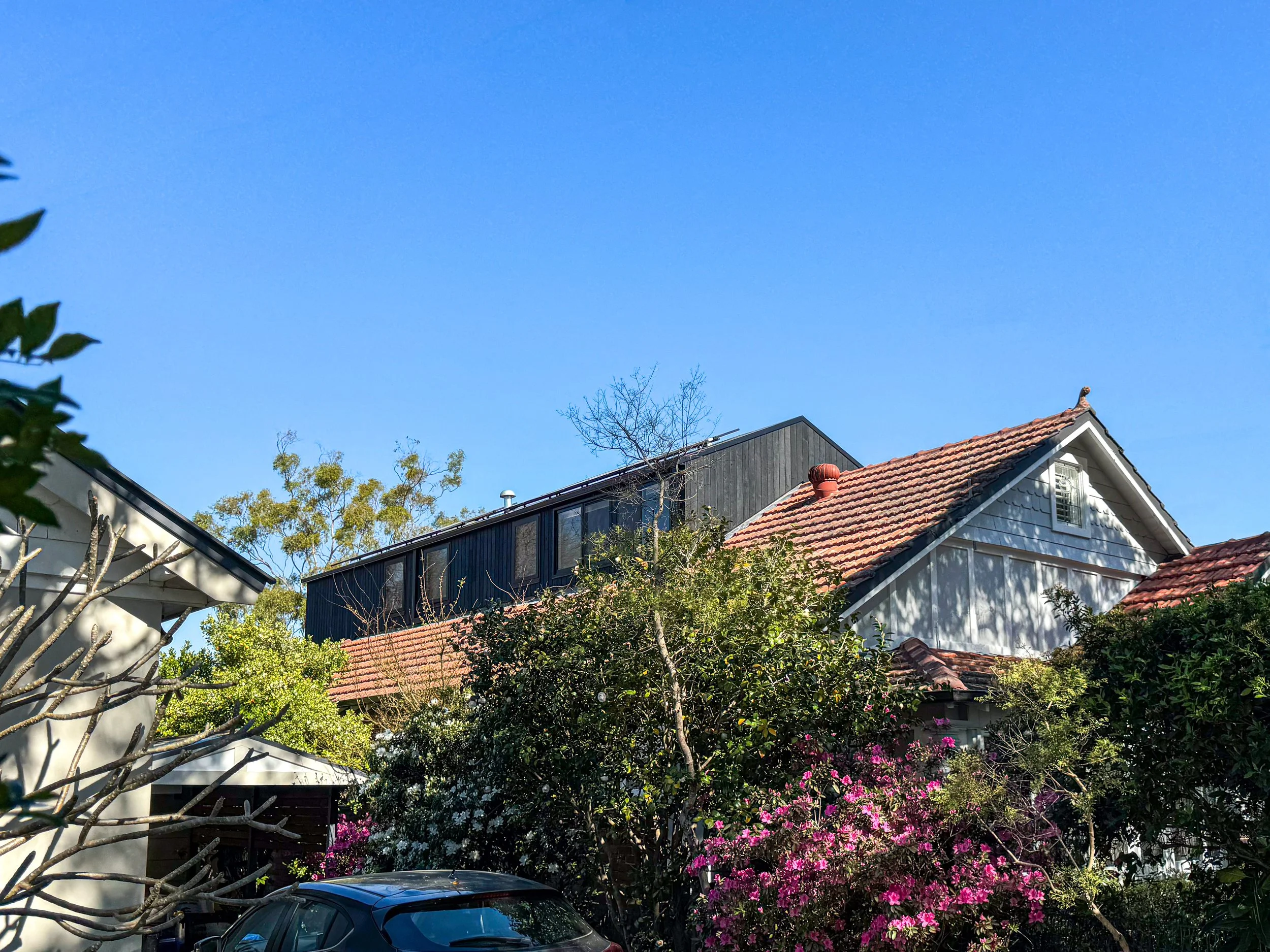 frangipani-house-homes-sydney-spiralarchitectslab-exterior02.jpg