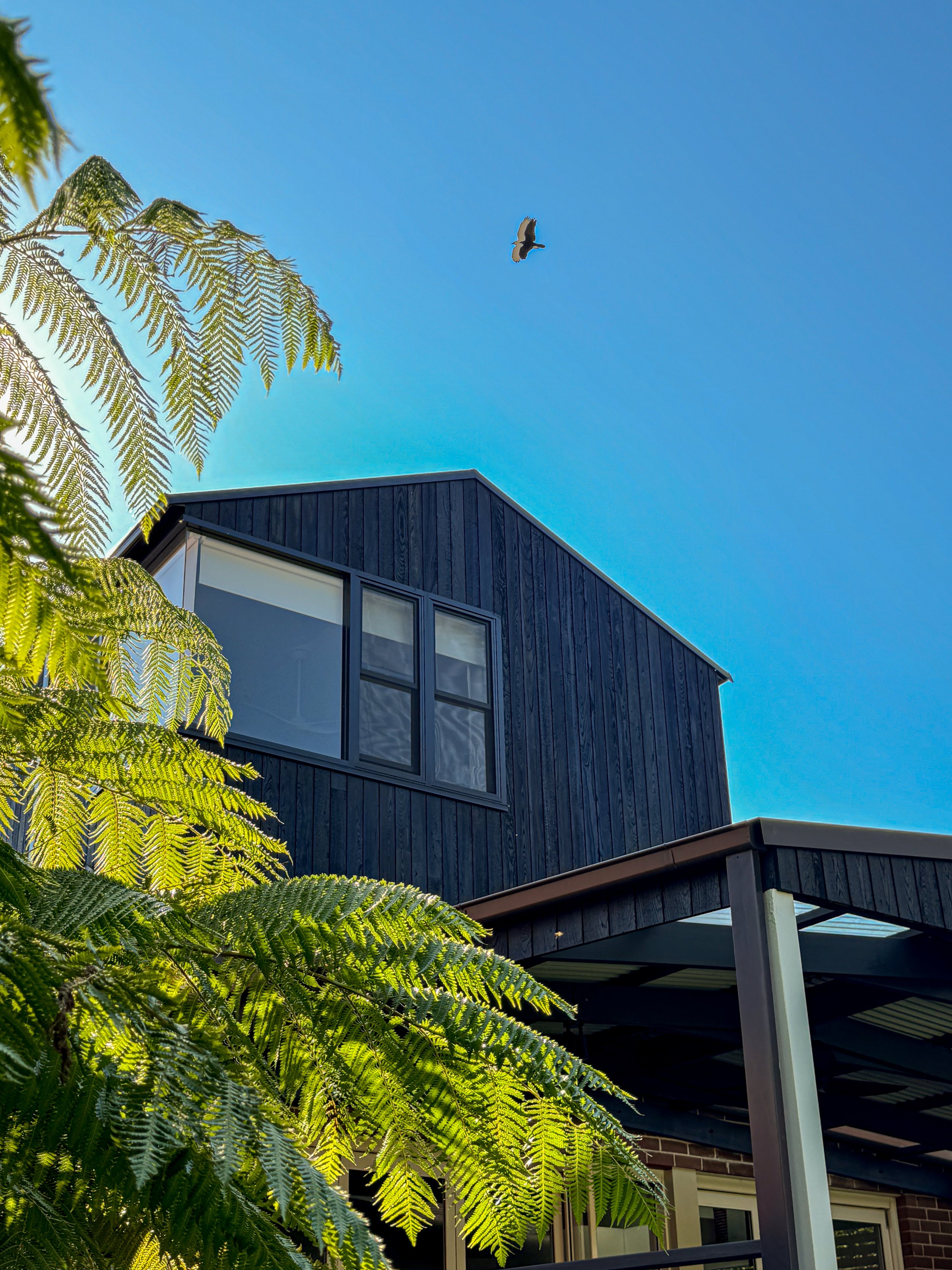 frangipani-house-homes-sydney-spiralarchitectslab-exterior01.jpg