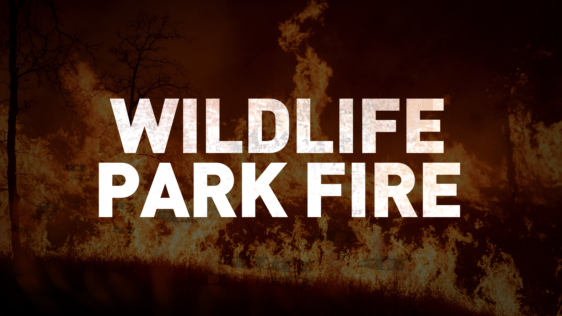 ND Wildlife Mon Fill.png