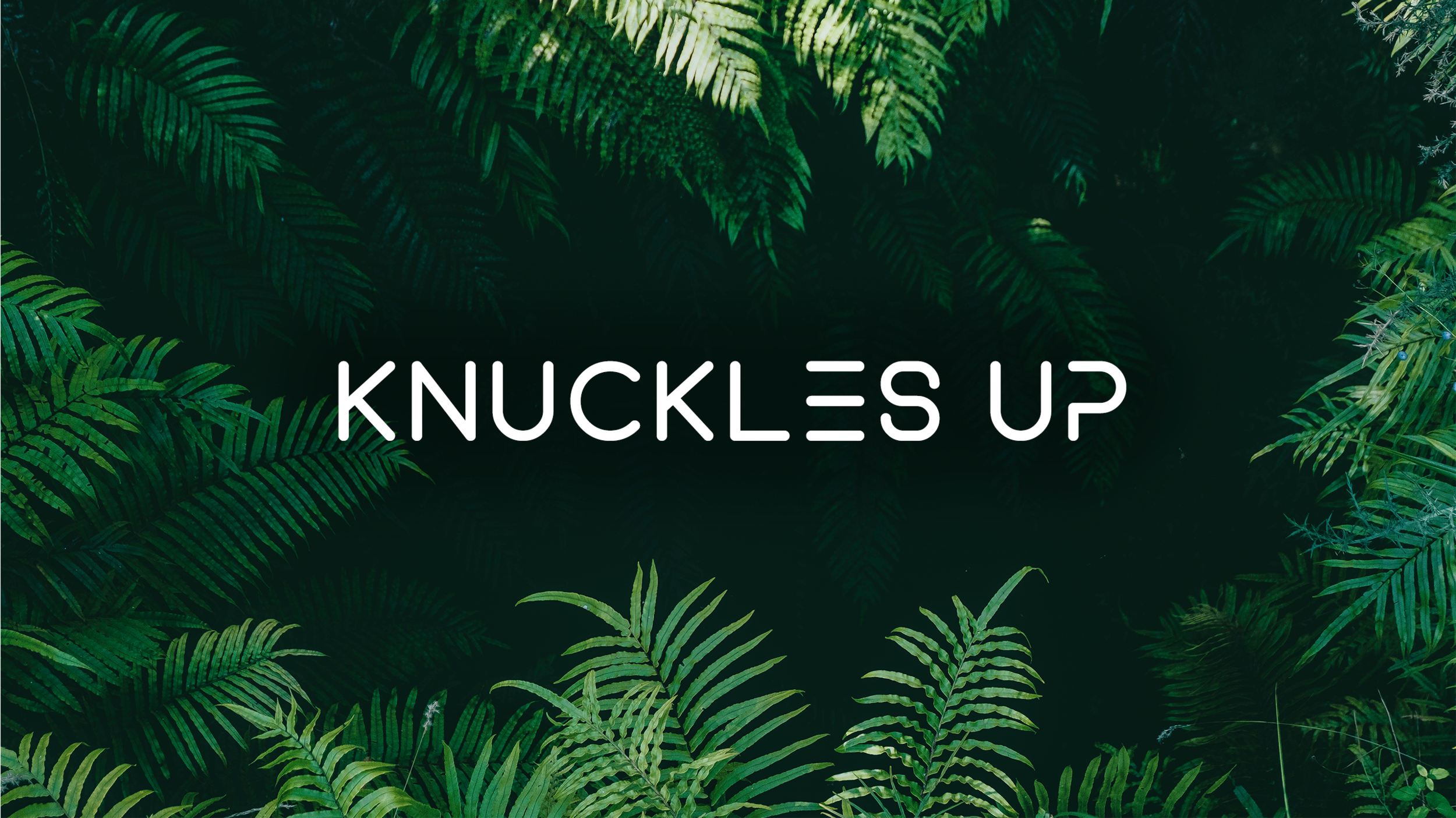 BANNER KU FINAL .png