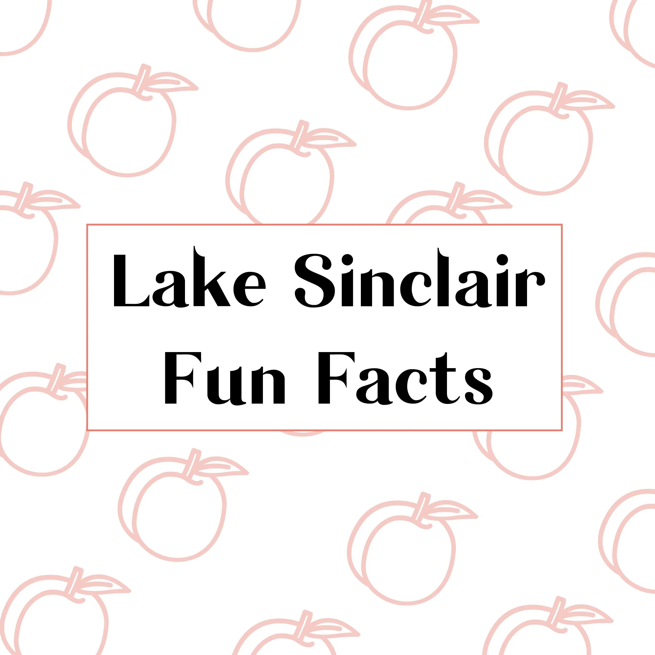 LSC GRAPHICSArtboard 8@2x-100.jpg