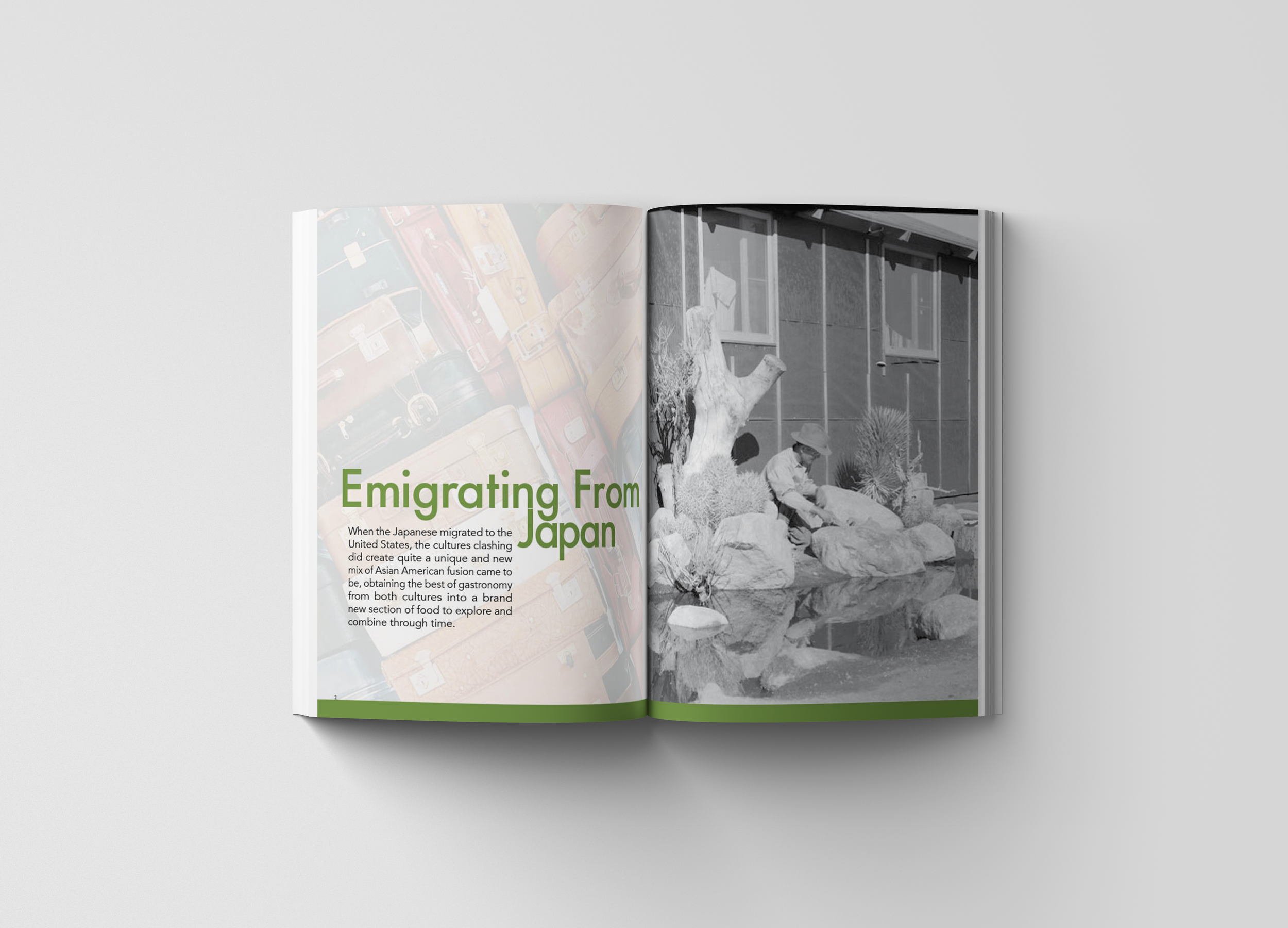 SOFTCOVER BOOK MOCKUP 01.png