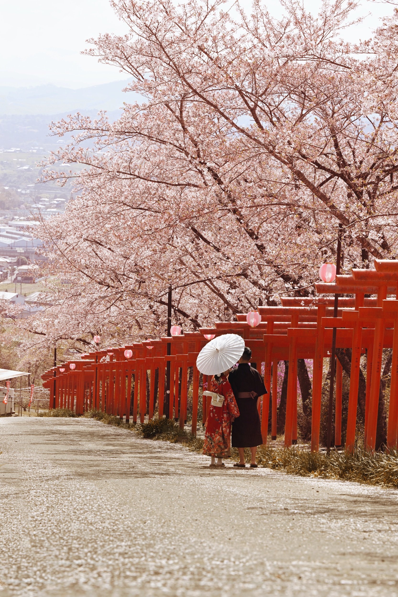 Fov, torii, 鳥居, 丸高稻荷神社 