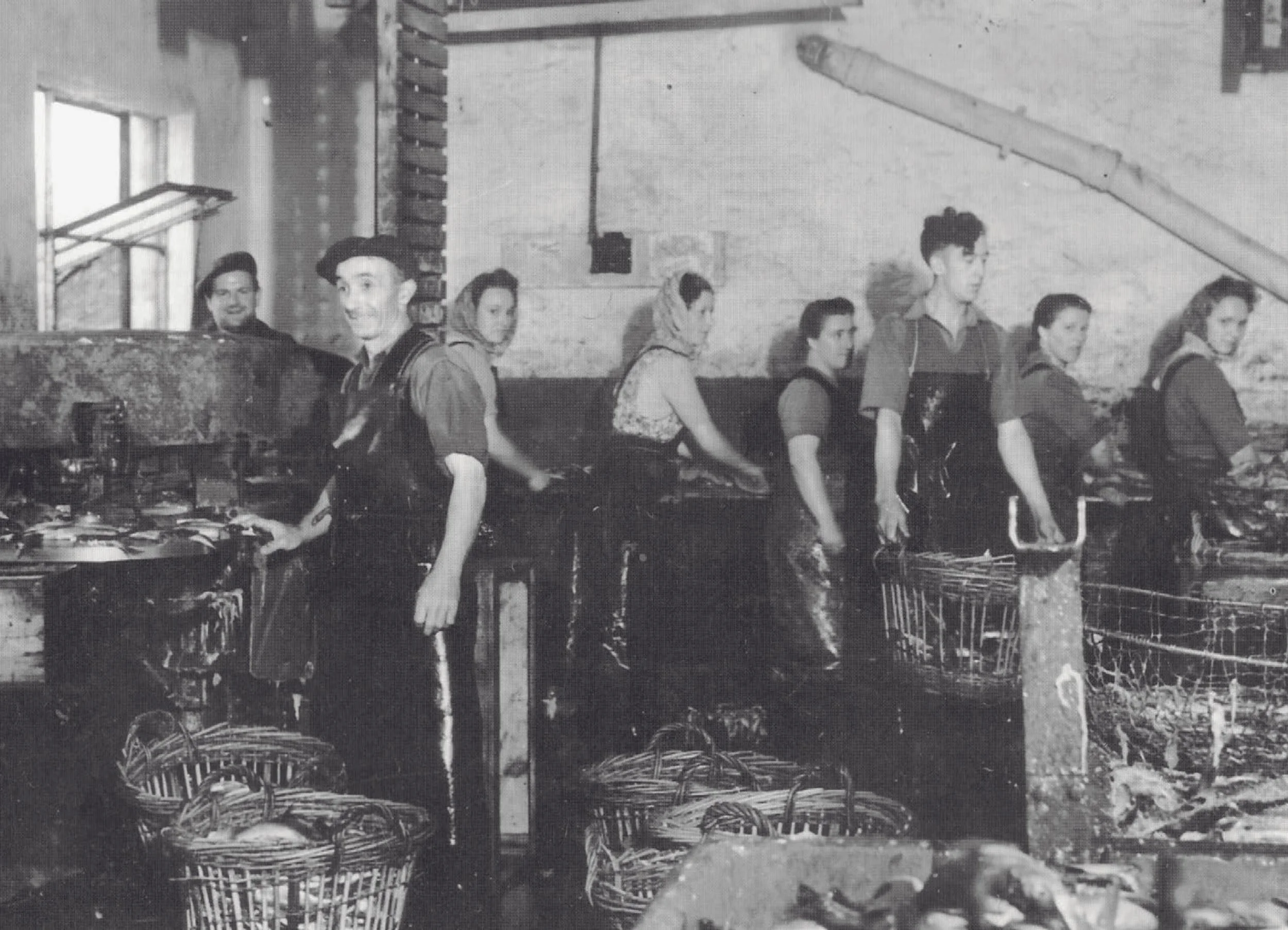 Co op factory