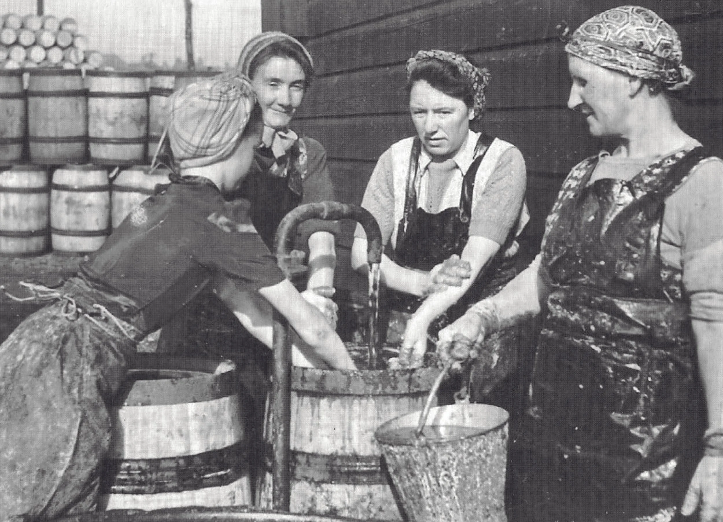 Herring Girls