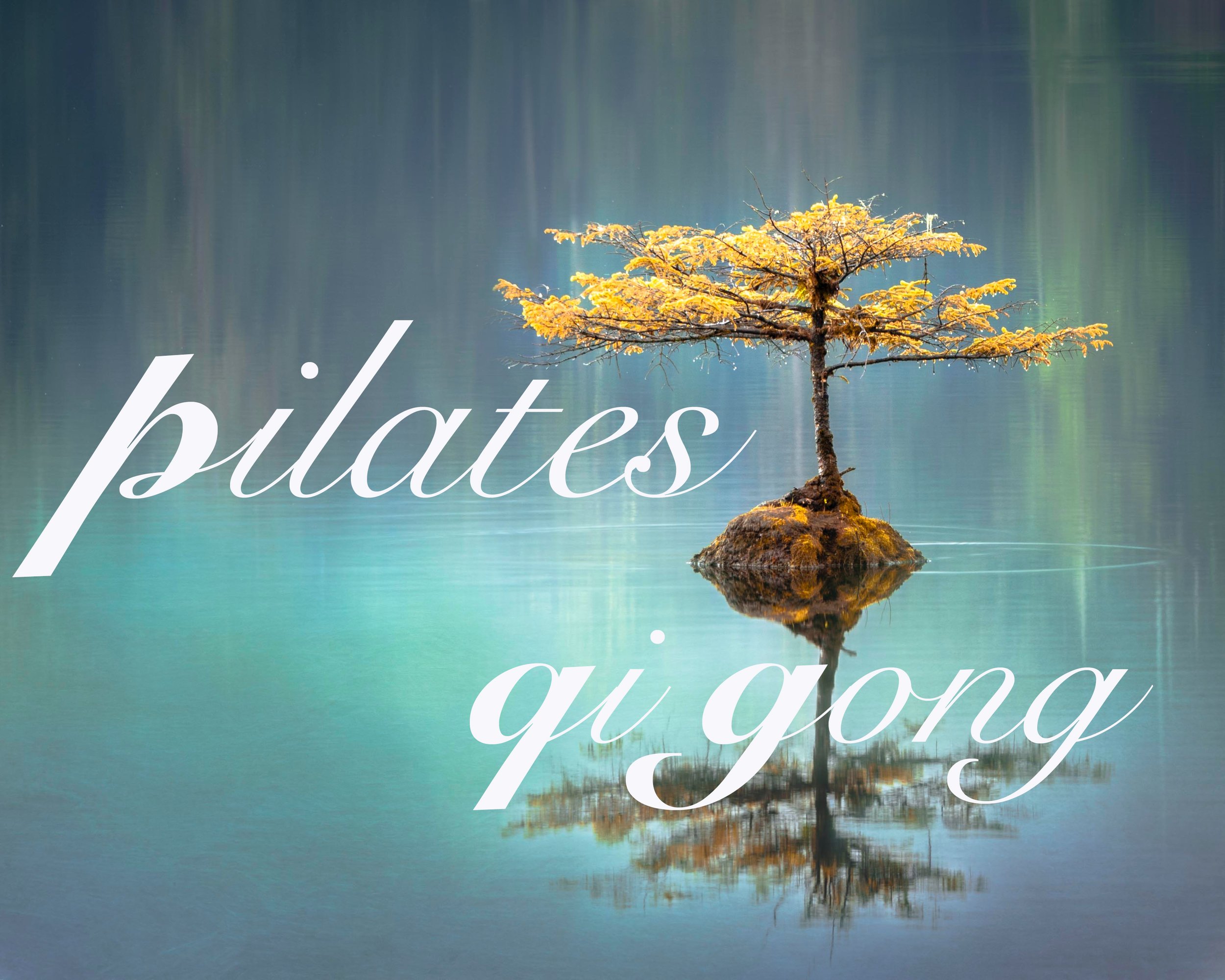 Page accueil site.jpg