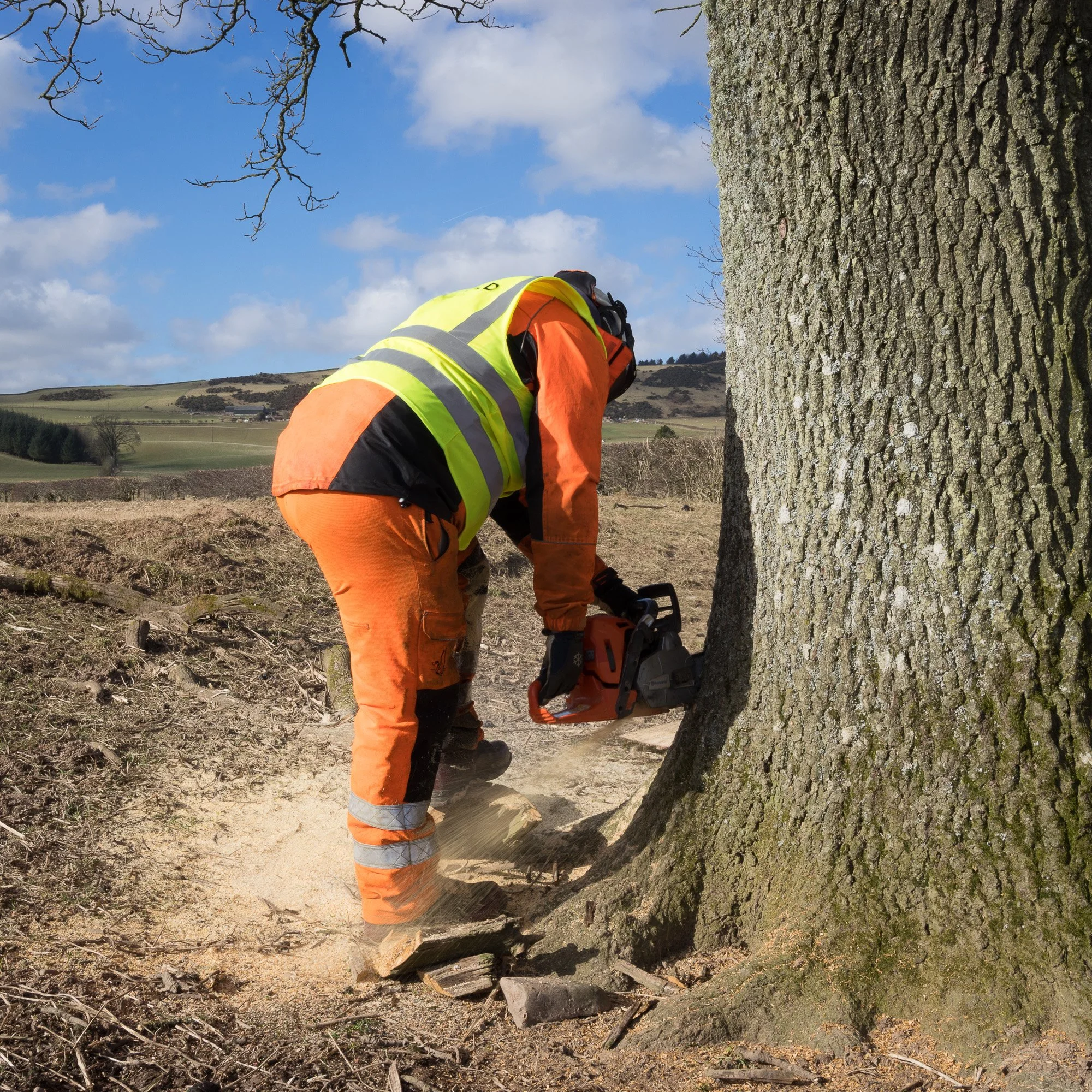 Over seven years we've gone from tree to boards. From boards to barrel. And from barrel to bottle.

This is our rum aged in our casks, made from our wood. Our unique story.

Pre-orders are live, we start shipping October 9th, go check out the website