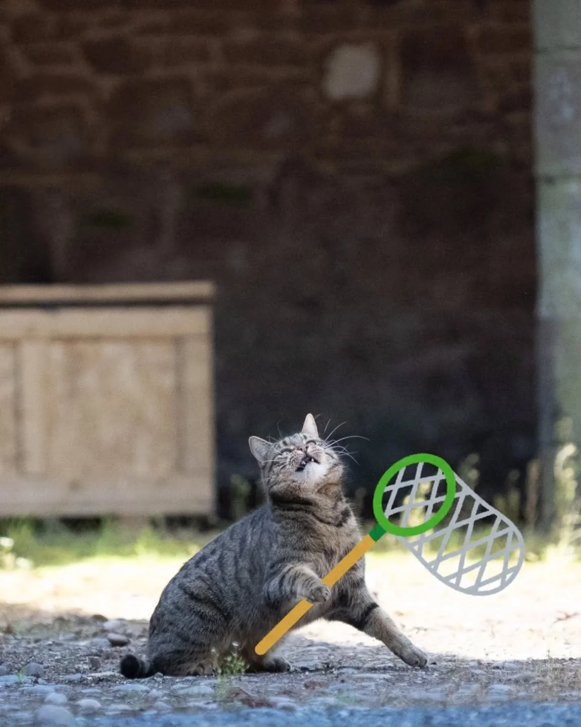 Ninefold rums are made with off-the-shelf rum yeasts, but we've been trying to catch wild yeast to experiment with!

It's not been going well so far; Watson hasn't caught anything yet. Maybe he needs a bigger net to really bag us a MEGAYEAST for our 