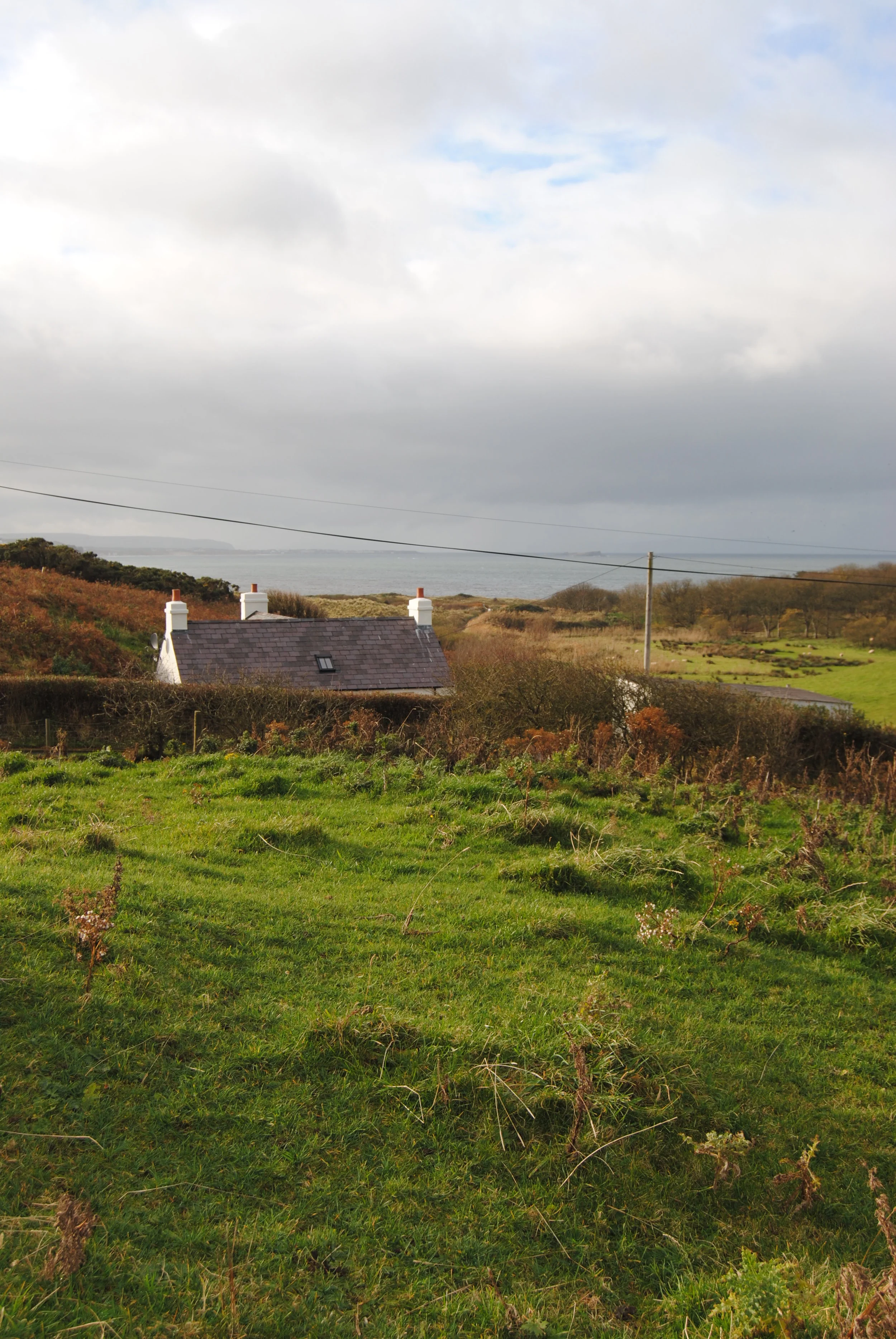 DSC_0497.JPG