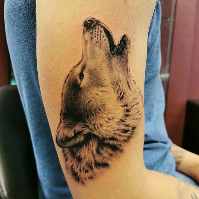 Started a new wolf themed piece today 🐺 Thanks again, Martin! More pics to come after the next session!