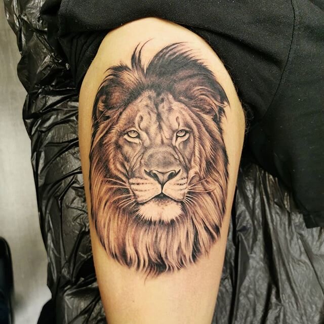 A lion for Magnus today! 🦁 Thanks!