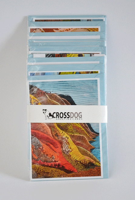 12-card-pack-splayed.gif