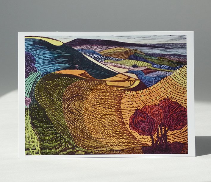 Bishop's Curl          POSTCARD