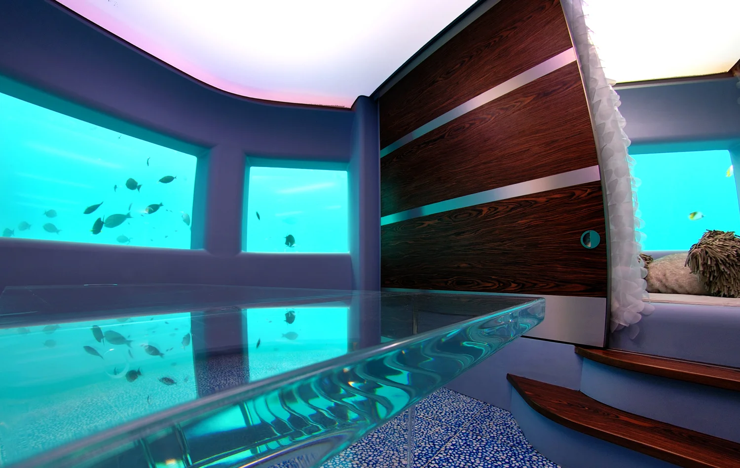 View looking up_2.jpg