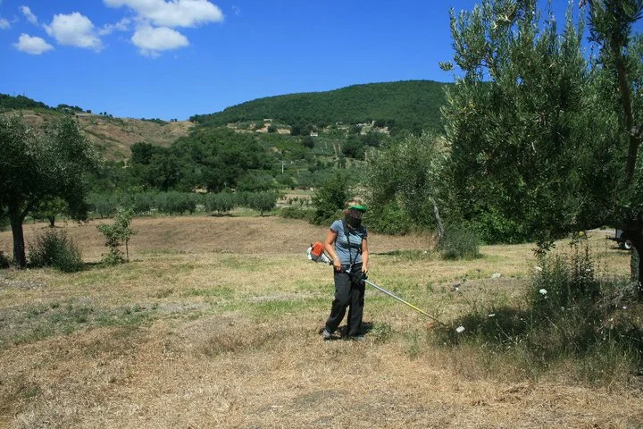 45871_463334530394_1297925_n.jpg