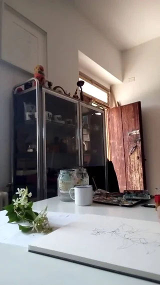 VID_20190605_153923_Trim