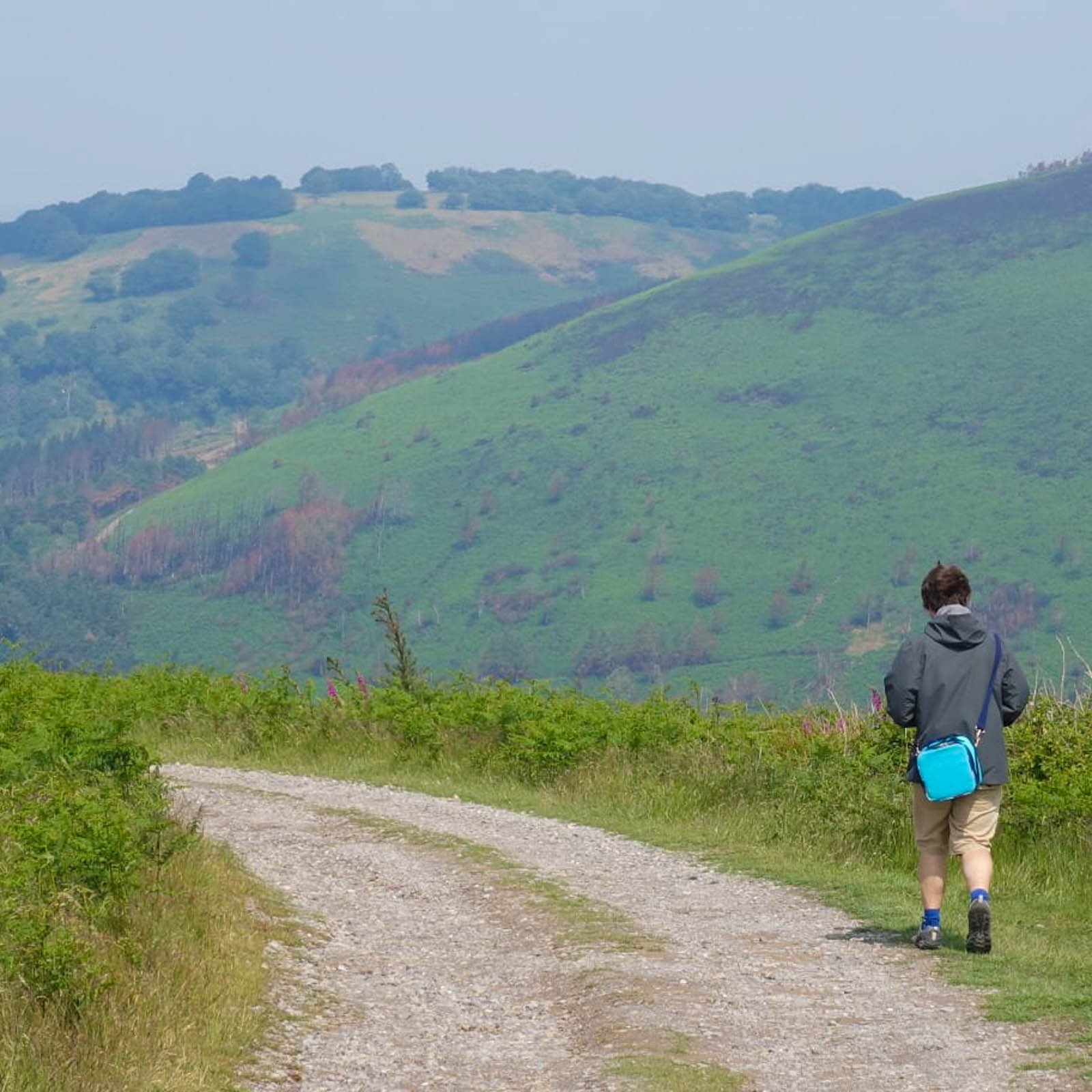 Mountain Walk.jpg