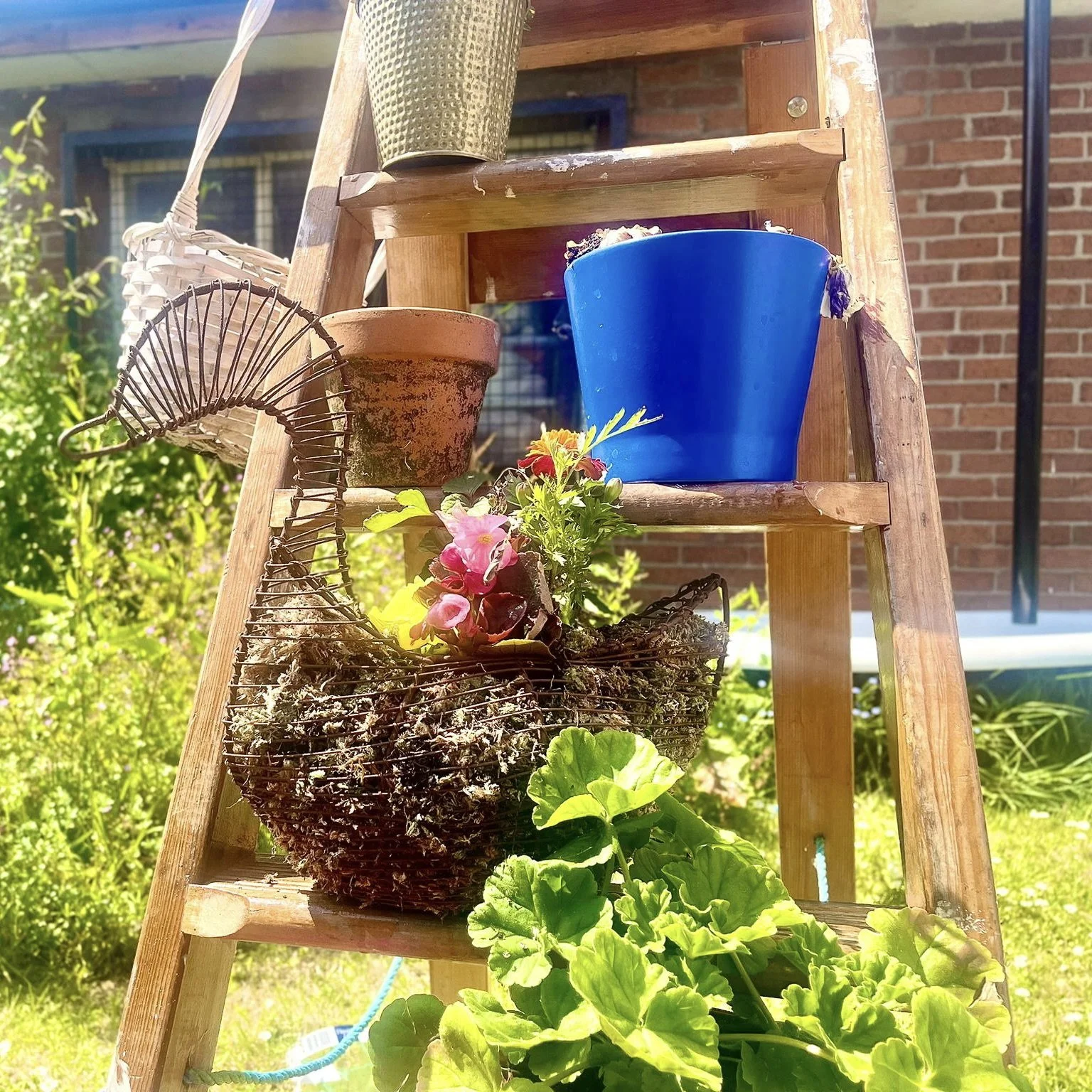 planter.jpg