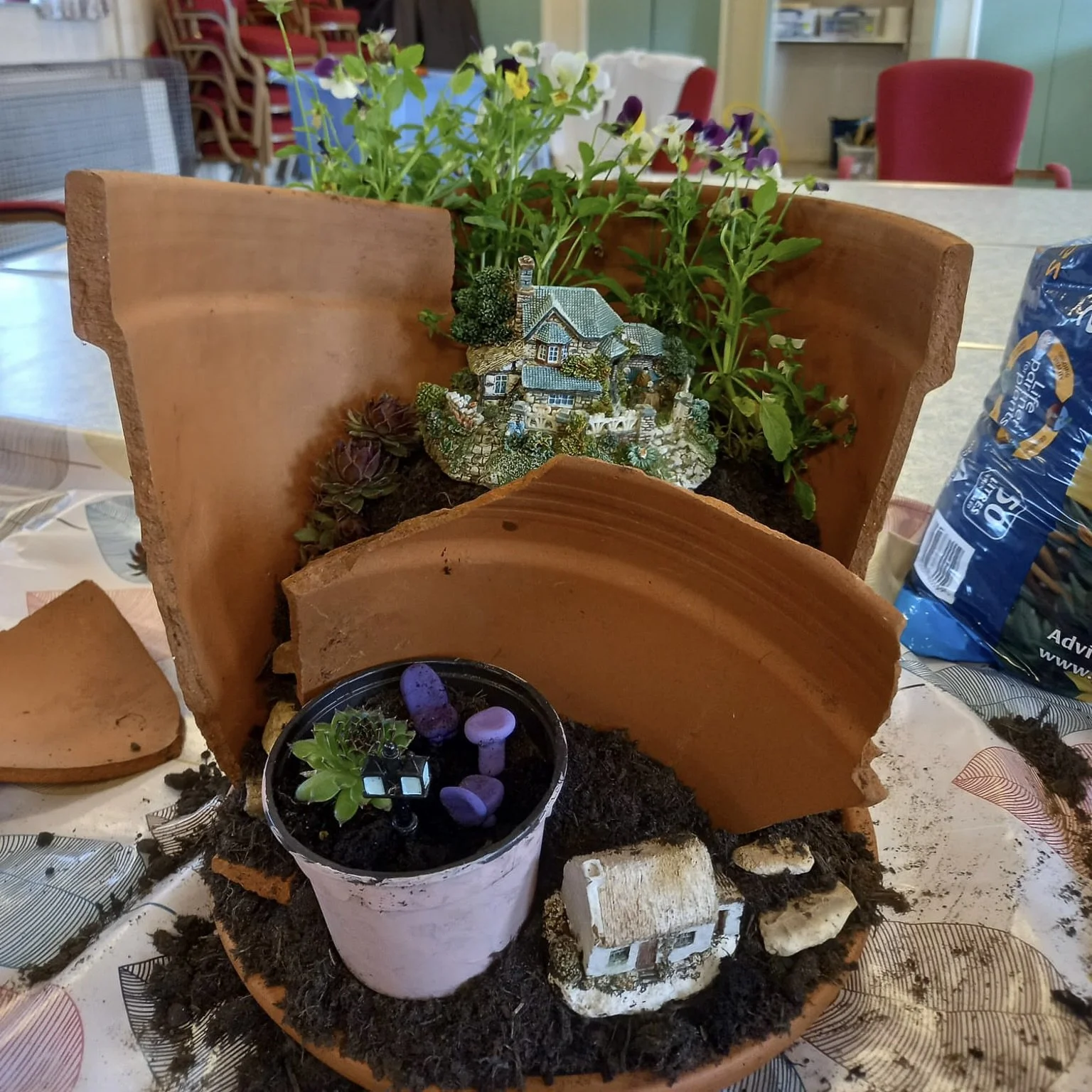pot planter.jpg