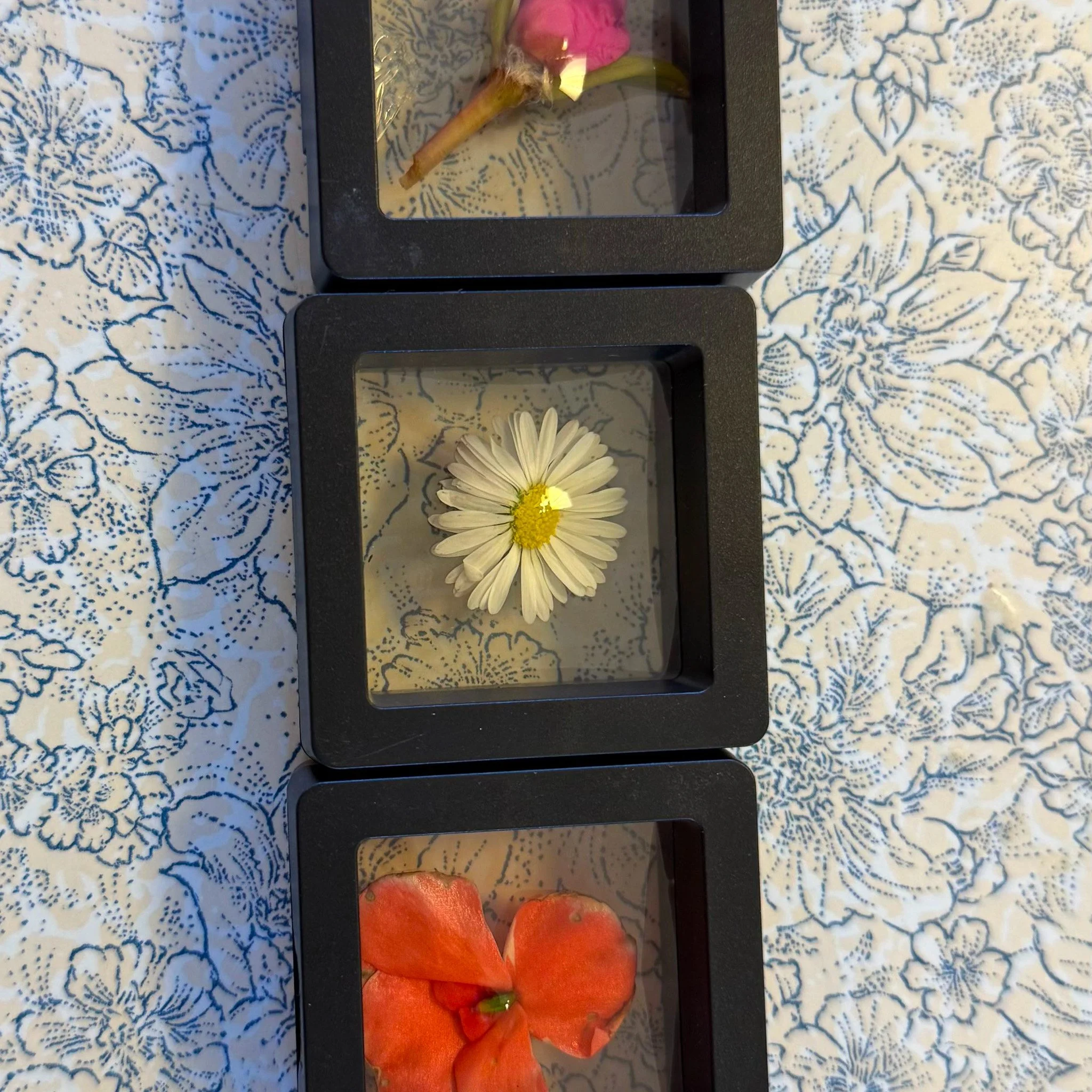 preserved flowers.jpg