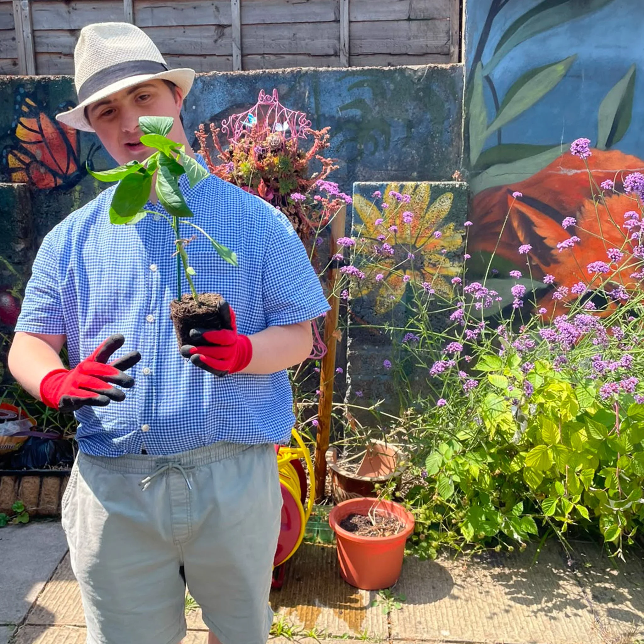 Andrew Planting out.jpg
