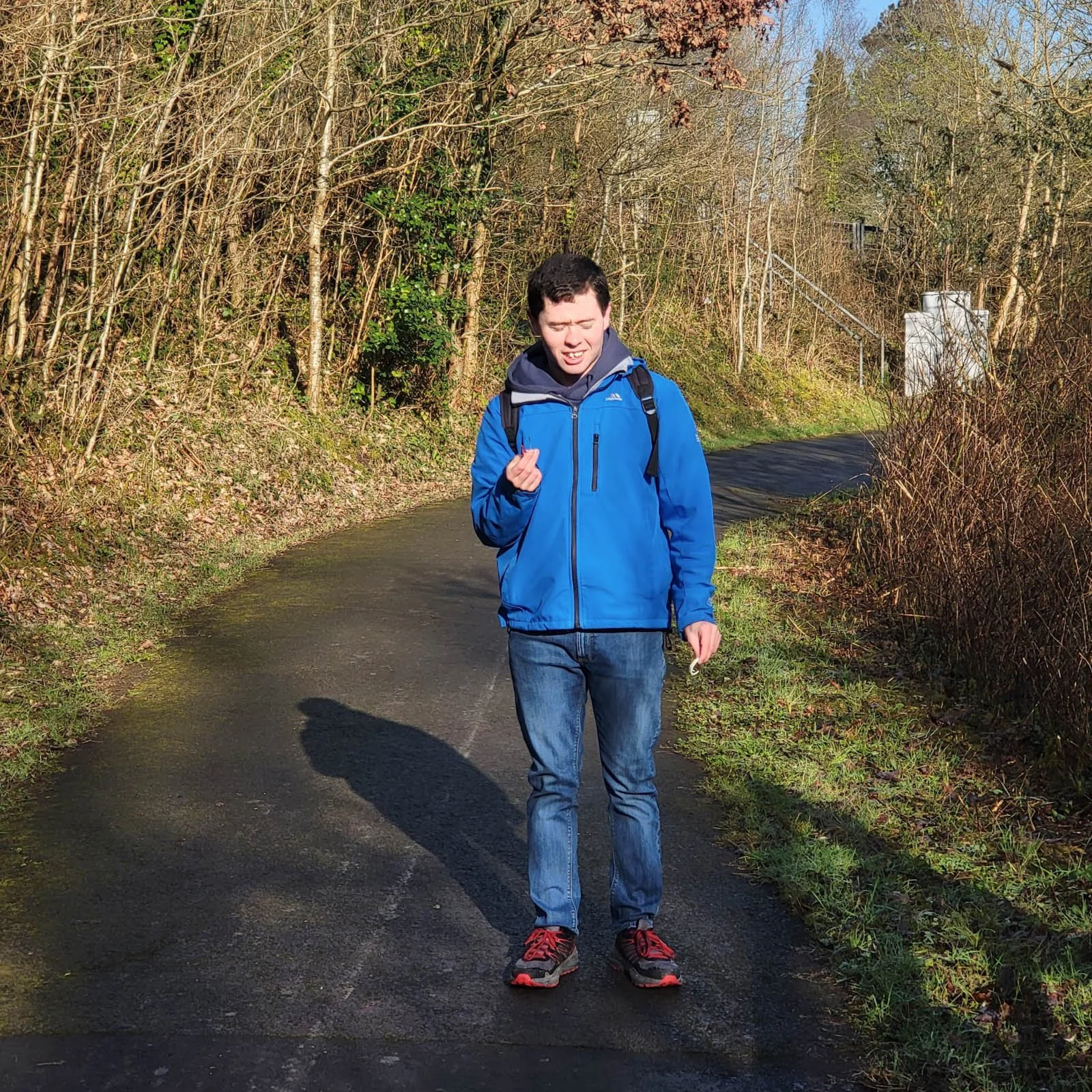 Country Lane Walk.jpg