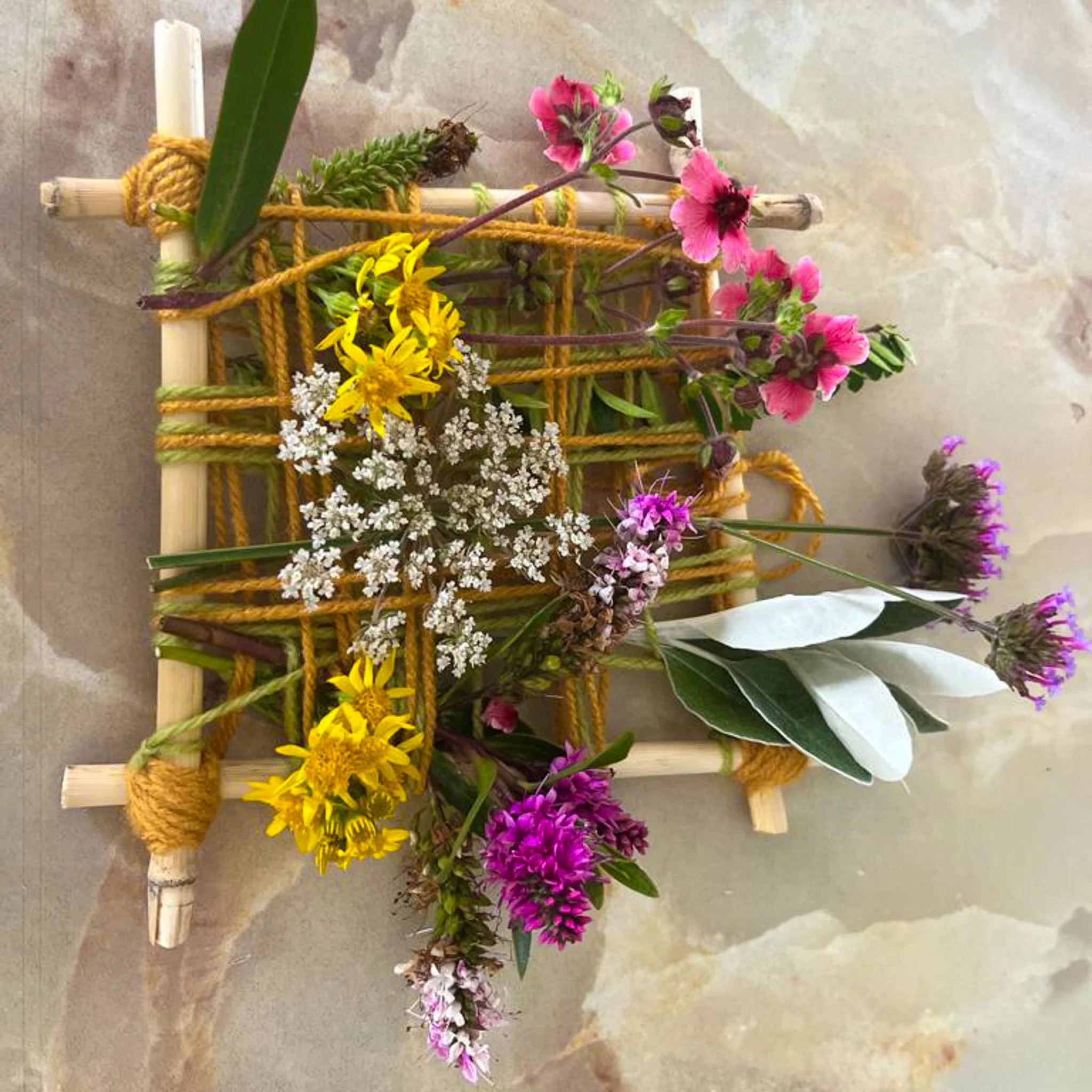 plant art.jpg