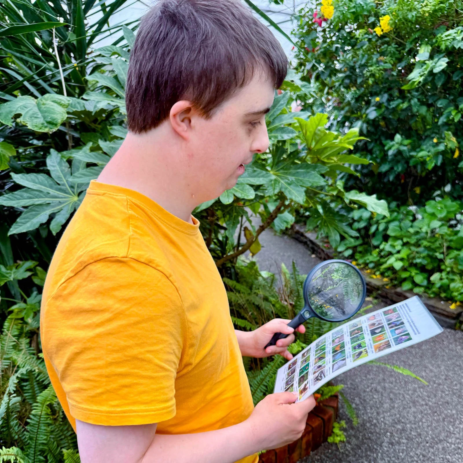 Andrew Butterfly Farm.jpg