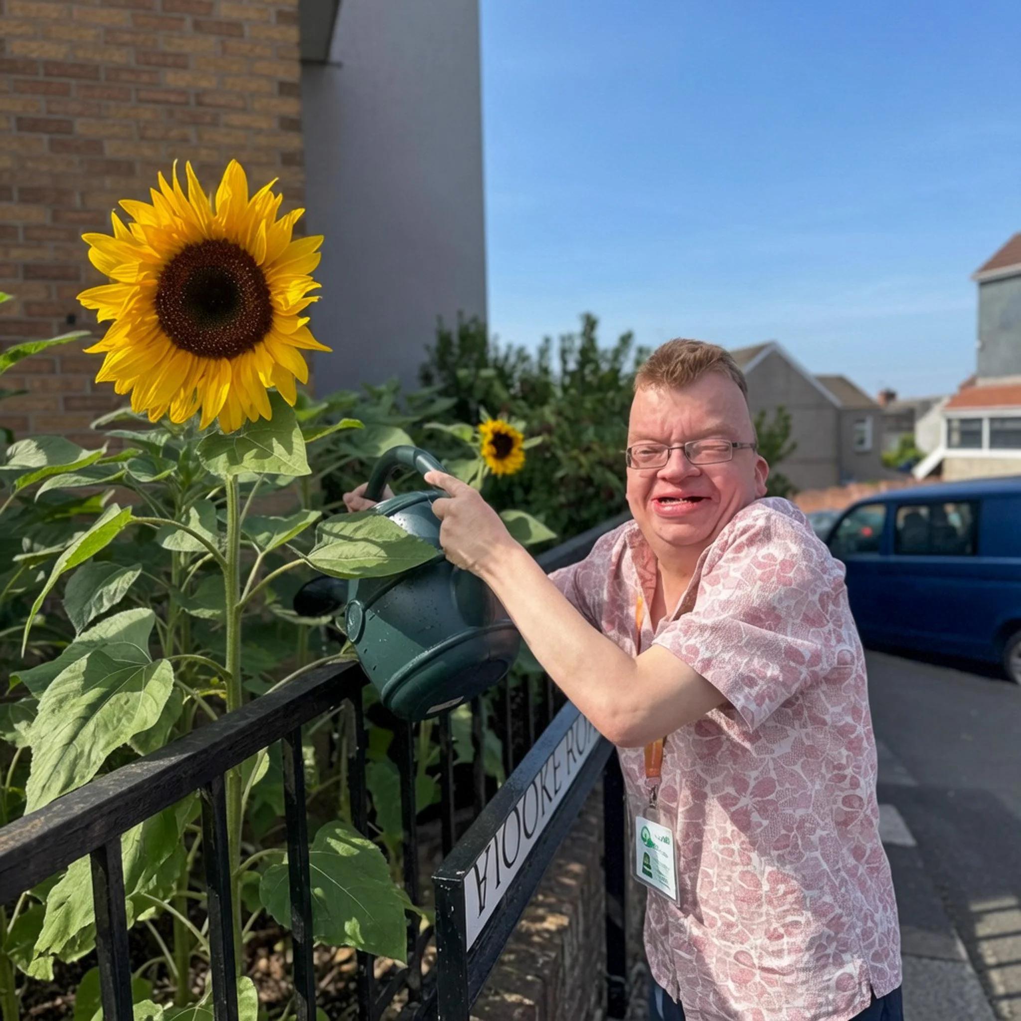 Sion Watering The Sunflowers.jpg